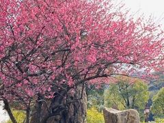 -龙宫洞风景区