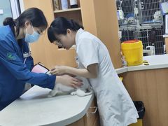 -联合动物医院(光谷诊疗中心)