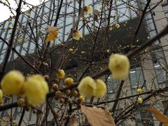 -四川大学(江安校区)