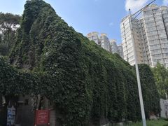 -山东大学(趵突泉校区)