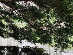 -荔枝公园(福田区)