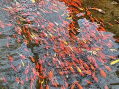 -水磨沟公园