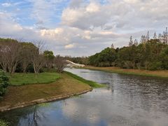 -上海海湾国家森林公园