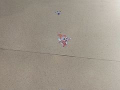 -万达广场(南京江宁店)