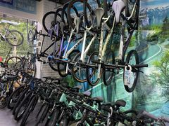 -GIANT捷安特自行车专卖店(金桥台儿庄路店)