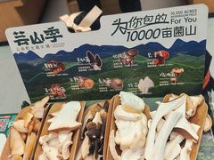 -芸山季·云南山珍菌火锅(南翔印象城MEGA店)