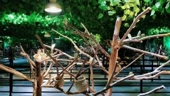 -酷嗒动物文化乐园(cutezoo西溪乐天城店)