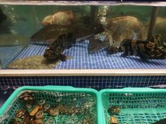 -丰卓会海鲜自助(中润大道店)