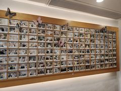 -猫的天空之城概念书店(苏州平江店)