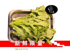 茼蒿-上二楼涮肉馆(顺义二中店)