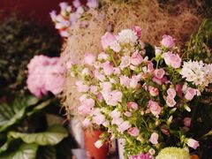 -二酉书店TOYOU BOOKS