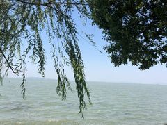 -古尚锦酒楼·水上餐厅