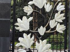 -人民公园-相亲角