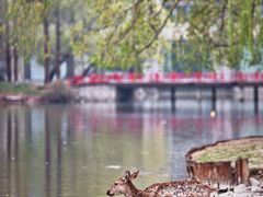 -银树楼(紫玉山庄东区店)