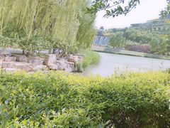 -河北省园博园