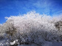 -太子岭滑雪场
