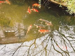 -香然会·园林雅宴(陆家嘴店)