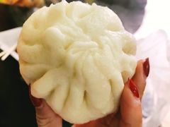 大肉包-洪记江鹰包行总店