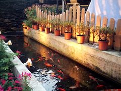 -老洋房花园饭店(绍兴路店)