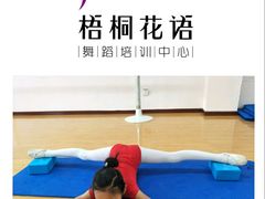 -梧桐花语舞蹈培训中心(潞城校区)