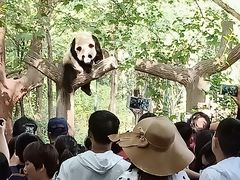 -仙芝竹尖生态园旅游景区