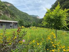 -沕沕水生态风景区