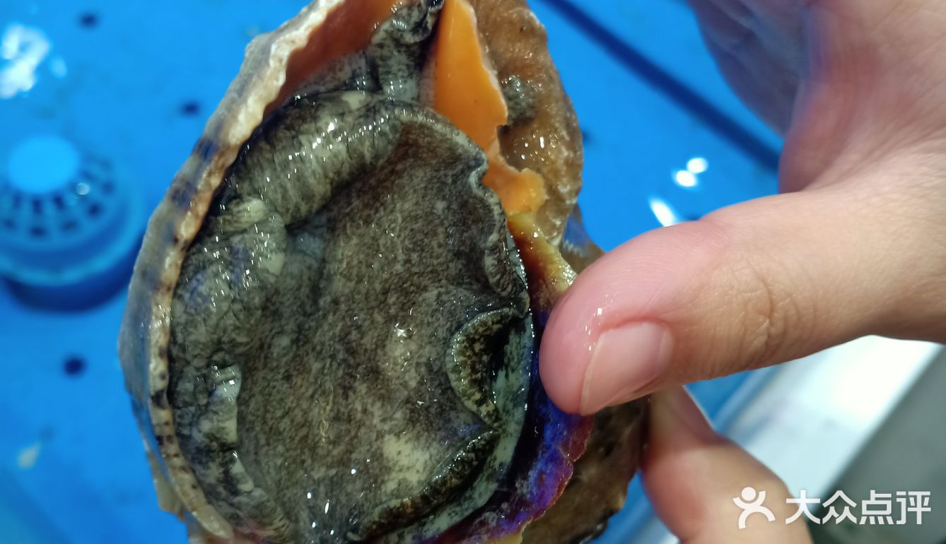 梭子蟹、皮皮虾、海螺、帝王蟹个个鲜活