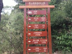 -原山国家森林公园