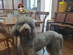 -沏点Trattoria意大利餐厅(新街口店)