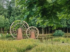 -森波拉奇妙世界