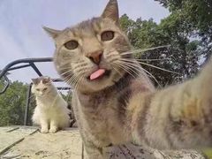 -星巴克(深圳湾体育中心店)