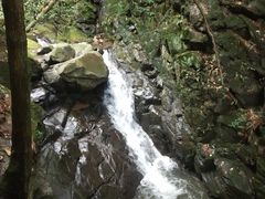 -藏龙百瀑风景区