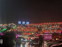 -枇杷园食为鲜火锅(南山店)