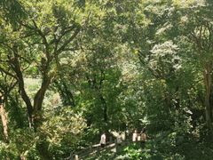 -句容茅山景区
