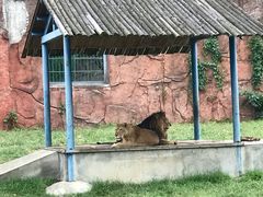 -无锡动物园·太湖欢乐园