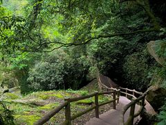 -碧峰峡风景区