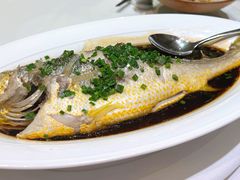 -南麓·浙里(外滩店)