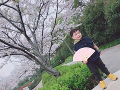 -新江湾城公园