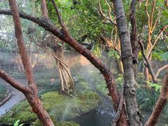 -Chom Cafe and Restaurant