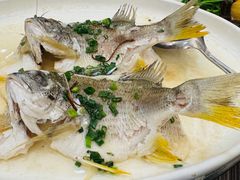 -美未居·老字号·地道顺德菜·桑拿鸡·鱼生(容桂店)