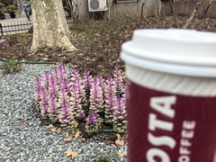 -COSTA COFFEE(上海虹口公园店)
