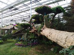 -兰陵国家农业公园