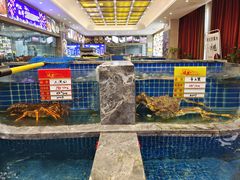 水产区-骏莱海鲜鱼港(五角场店)