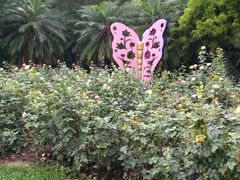 -人民公园(罗湖区)