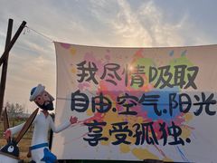 -枫林花海