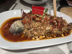-杨氏青龙虾·羊蝎子(托乐嘉店)
