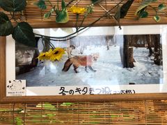 -宫城藏王狐狸村