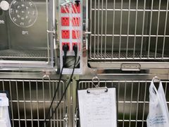 -申普宠物医院·心脏介入·心血管微创(总院)