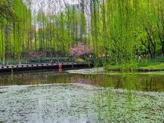 -钱江新城