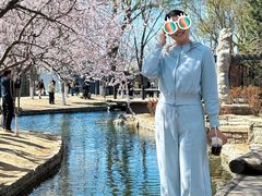 -春风习习